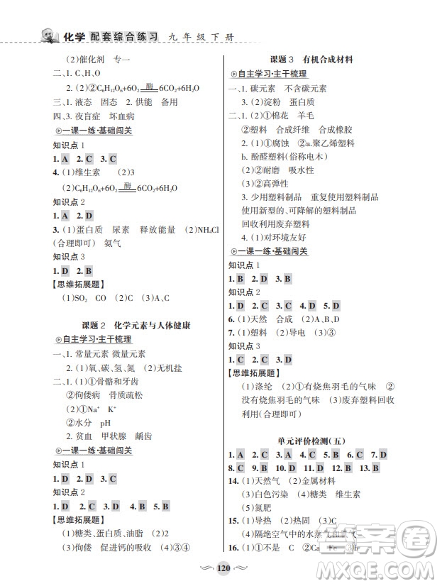 甘肅文化出版社2024年春配套綜合練習(xí)九年級(jí)化學(xué)下冊(cè)人教版參考答案