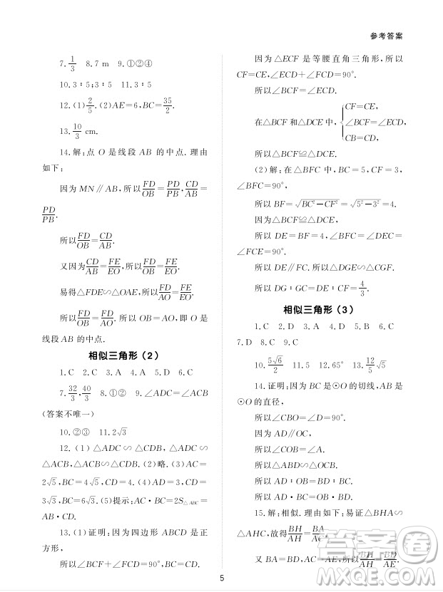 北京師范大學(xué)出版社2024年春配套綜合練習(xí)九年級數(shù)學(xué)下冊人教版參考答案