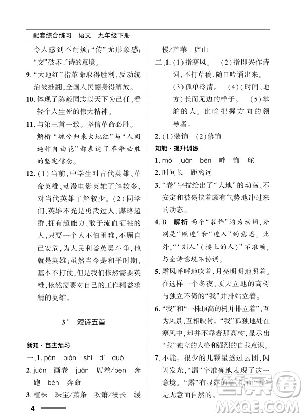 北京師范大學(xué)出版社2024年春配套綜合練習(xí)九年級語文下冊人教版參考答案