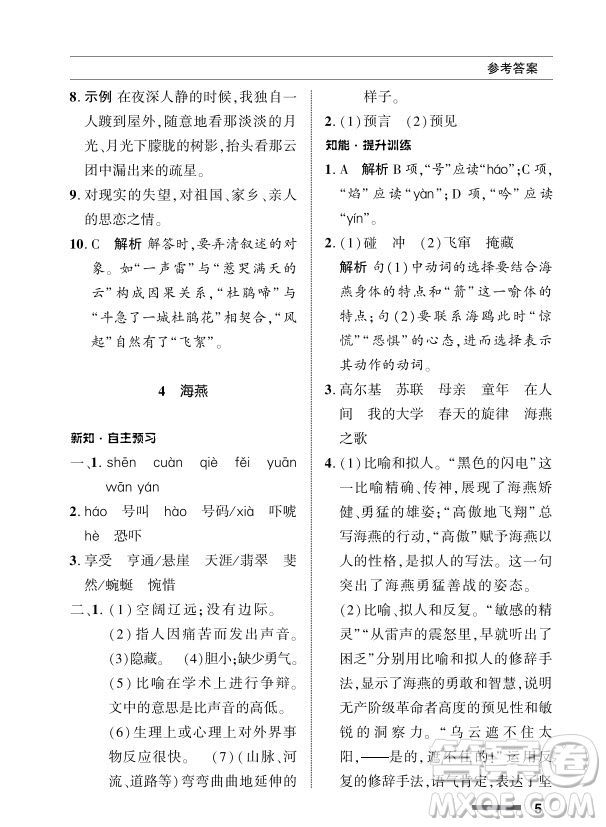 北京師范大學(xué)出版社2024年春配套綜合練習(xí)九年級語文下冊人教版參考答案