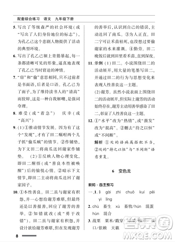 北京師范大學(xué)出版社2024年春配套綜合練習(xí)九年級語文下冊人教版參考答案