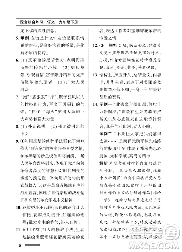 北京師范大學(xué)出版社2024年春配套綜合練習(xí)九年級語文下冊人教版參考答案