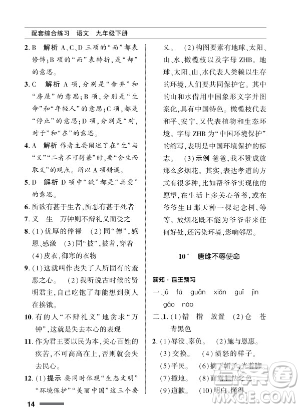 北京師范大學(xué)出版社2024年春配套綜合練習(xí)九年級語文下冊人教版參考答案