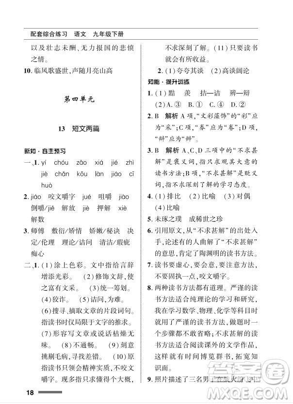 北京師范大學(xué)出版社2024年春配套綜合練習(xí)九年級語文下冊人教版參考答案
