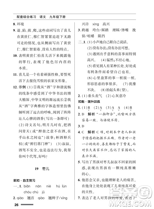 北京師范大學(xué)出版社2024年春配套綜合練習(xí)九年級語文下冊人教版參考答案