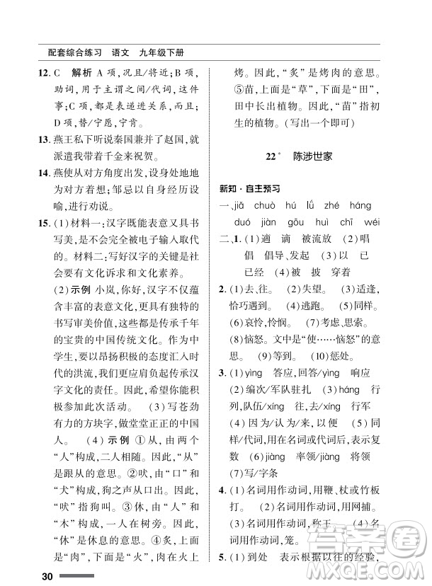 北京師范大學(xué)出版社2024年春配套綜合練習(xí)九年級語文下冊人教版參考答案