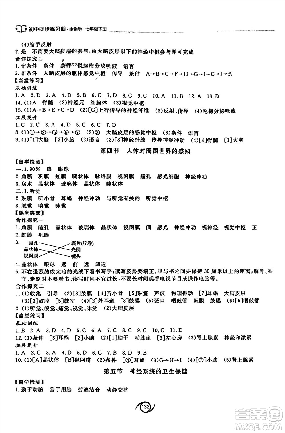 西安出版社2024年春初中同步練習(xí)冊(cè)七年級(jí)生物下冊(cè)濟(jì)南版參考答案