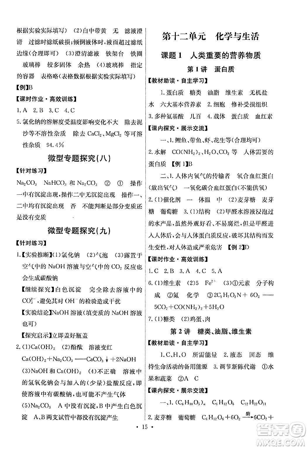 人民教育出版社2024年春能力培養(yǎng)與測試九年級化學(xué)下冊人教版湖南專版答案