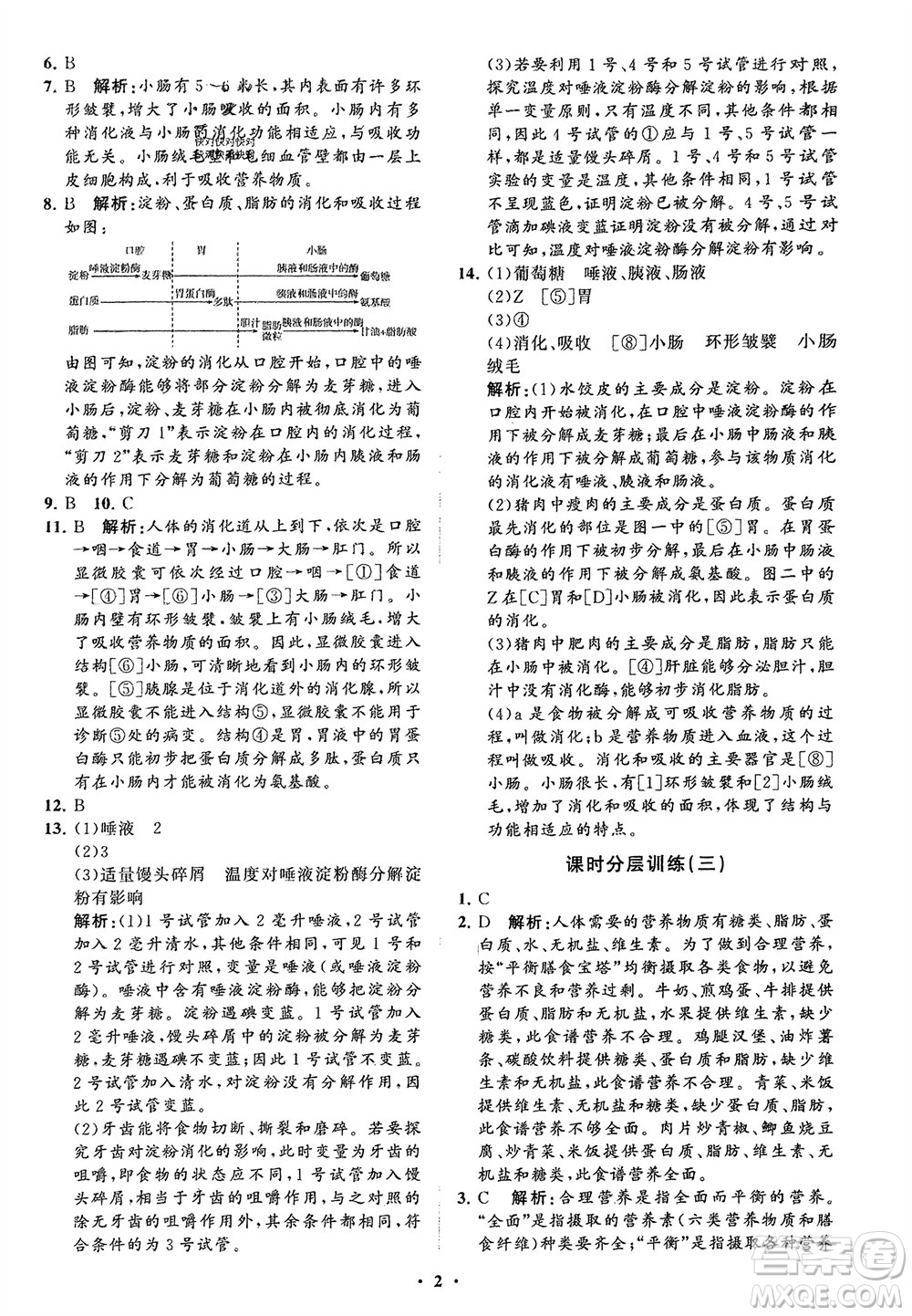 山東教育出版社2024年春初中同步練習冊分層卷七年級生物下冊通用版參考答案