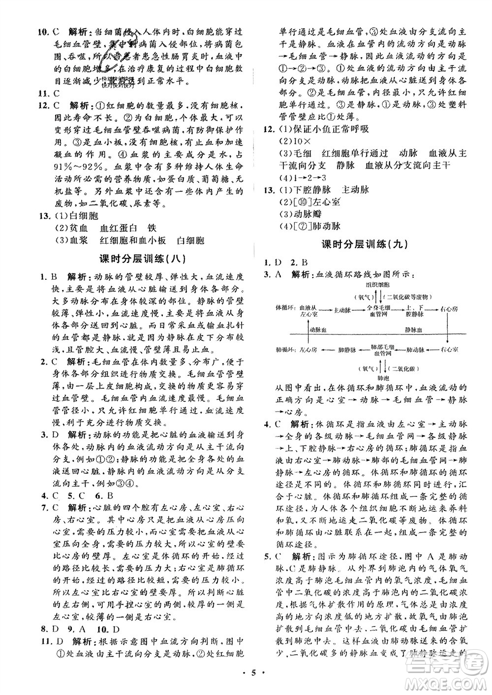 山東教育出版社2024年春初中同步練習冊分層卷七年級生物下冊通用版參考答案
