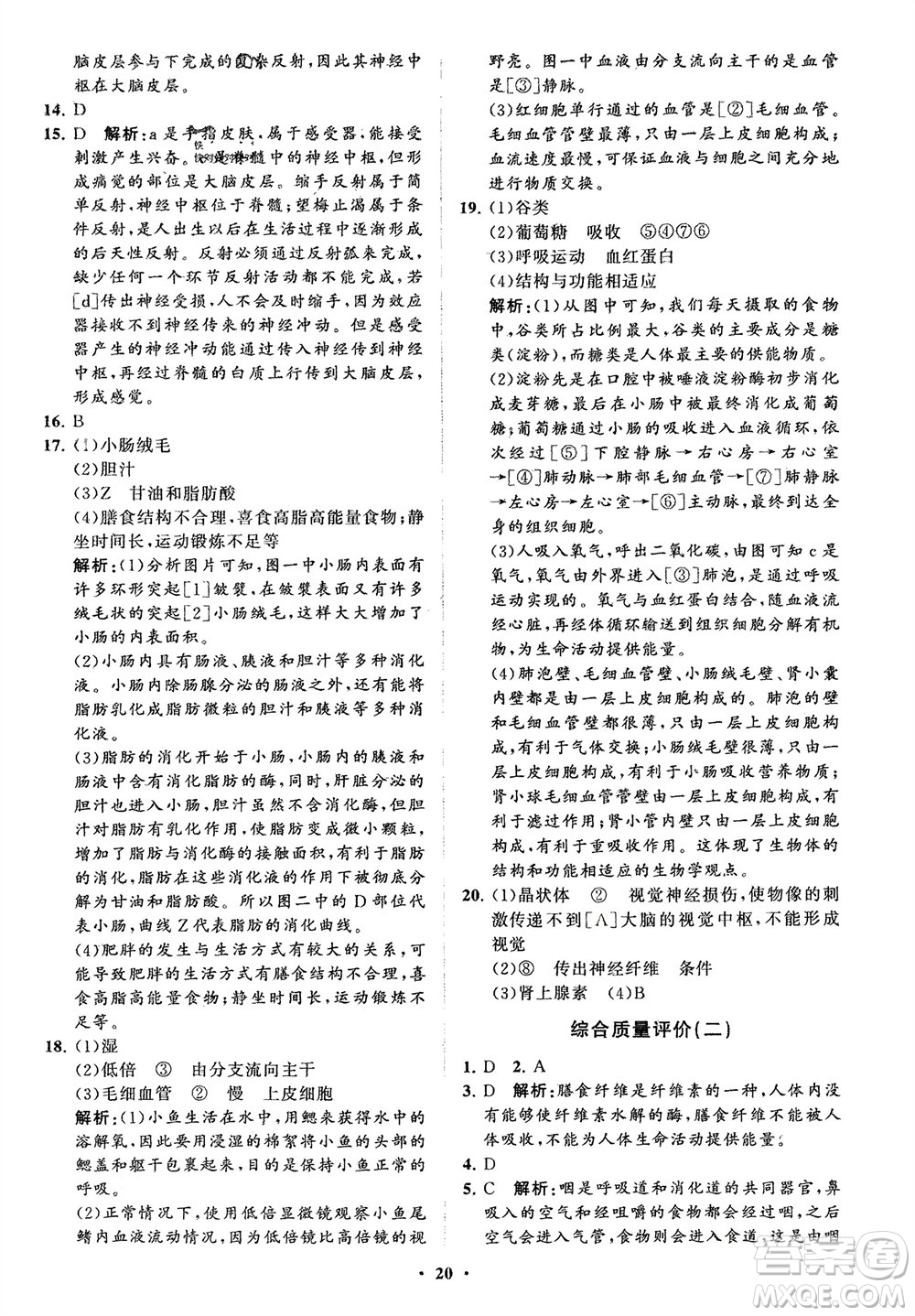 山東教育出版社2024年春初中同步練習冊分層卷七年級生物下冊通用版參考答案