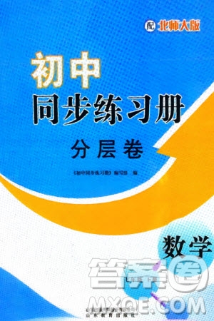 山東教育出版社2024年春初中同步練習(xí)冊分層卷七年級數(shù)學(xué)下冊北師大版參考答案