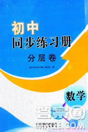 山東教育出版社2024年春初中同步練習(xí)冊分層卷八年級(jí)數(shù)學(xué)下冊通用版參考答案
