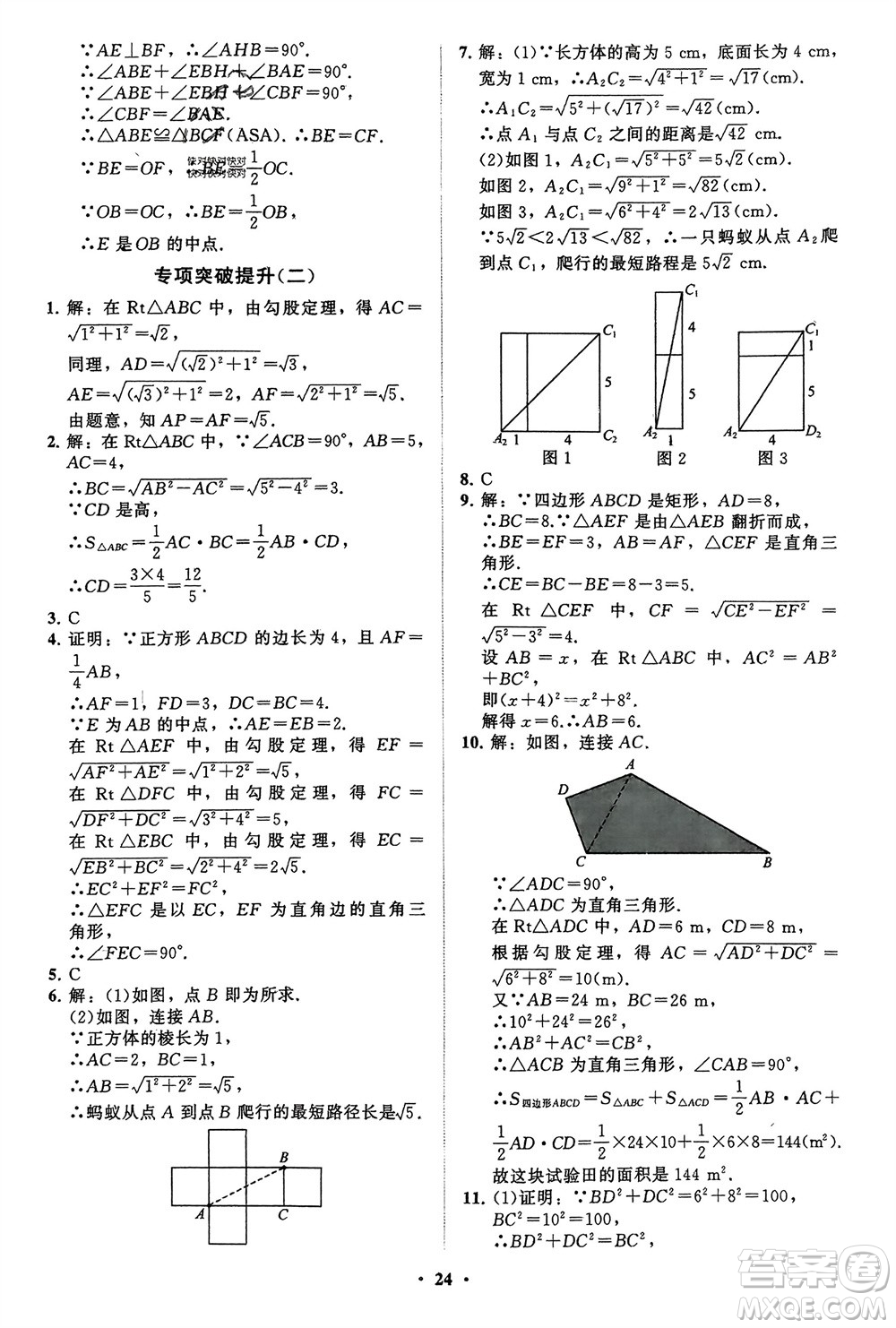 山東教育出版社2024年春初中同步練習(xí)冊分層卷八年級(jí)數(shù)學(xué)下冊通用版參考答案
