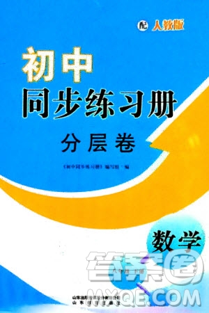 山東教育出版社2024年春初中同步練習冊分層卷八年級數(shù)學下冊人教版參考答案