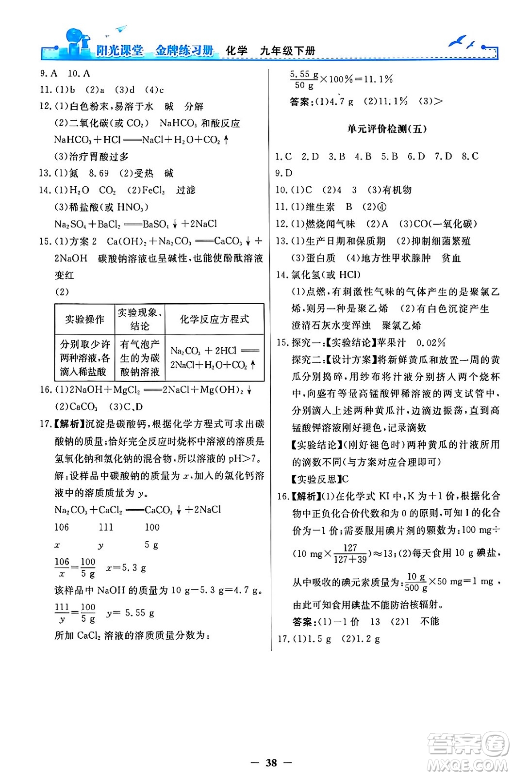 人民教育出版社2024年春陽光課堂金牌練習冊九年級化學下冊人教版答案