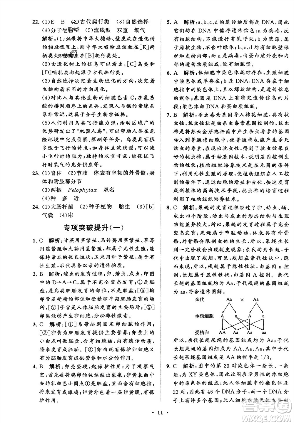 山東教育出版社2024年春初中同步練習(xí)冊(cè)分層卷八年級(jí)生物下冊(cè)五四學(xué)制魯科版參考答案