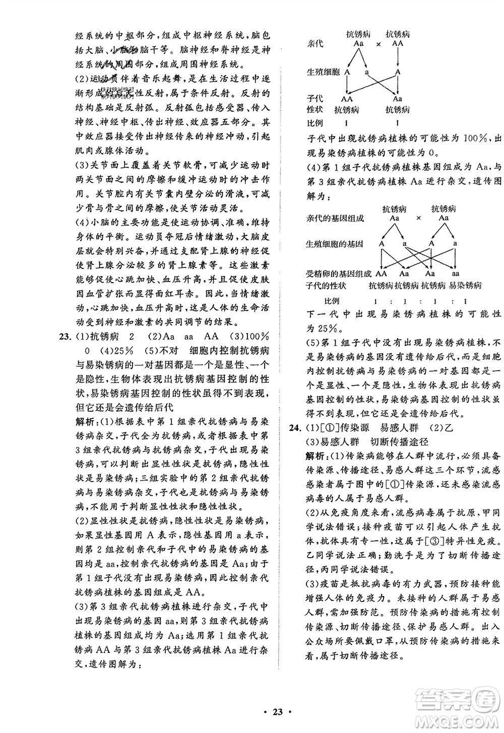 山東教育出版社2024年春初中同步練習(xí)冊(cè)分層卷八年級(jí)生物下冊(cè)五四學(xué)制魯科版參考答案