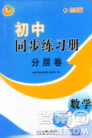 山東教育出版社2024年春初中同步練習(xí)冊(cè)分層卷八年級(jí)數(shù)學(xué)下冊(cè)五四學(xué)制魯教版參考答案