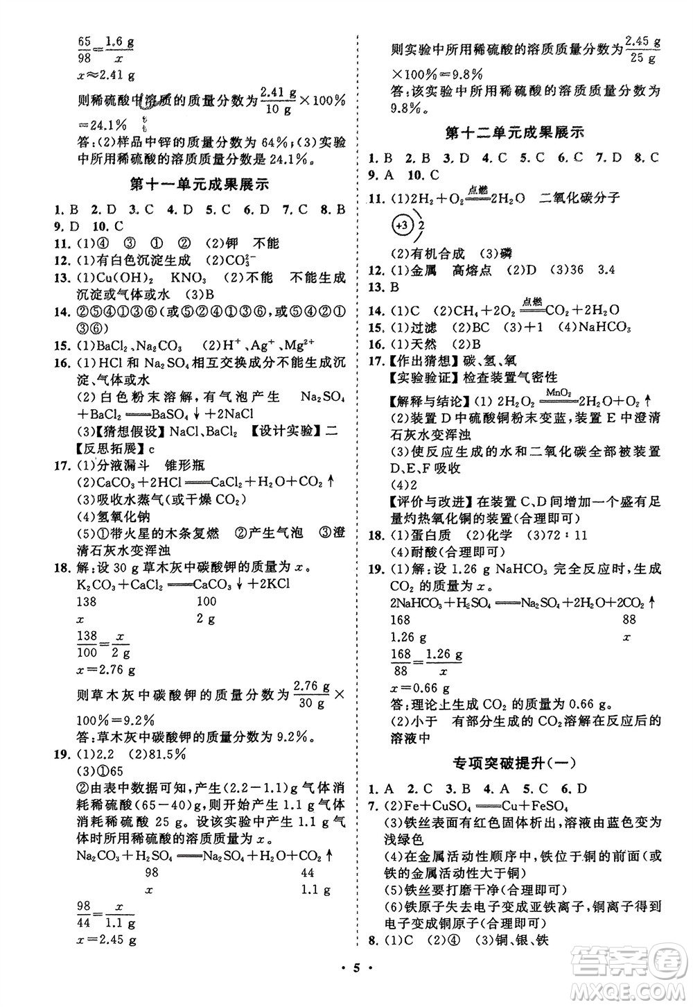 山東教育出版社2024年春初中同步練習冊分層卷九年級化學下冊人教版參考答案