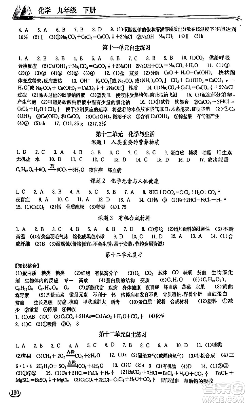 湖北教育出版社2024年春長江作業(yè)本同步練習(xí)冊九年級化學(xué)下冊人教版答案