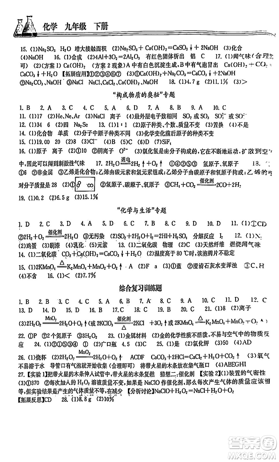 湖北教育出版社2024年春長江作業(yè)本同步練習(xí)冊九年級化學(xué)下冊人教版答案