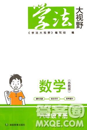 湖南教育出版社2024年春學(xué)法大視野六年級(jí)數(shù)學(xué)下冊(cè)蘇教版答案