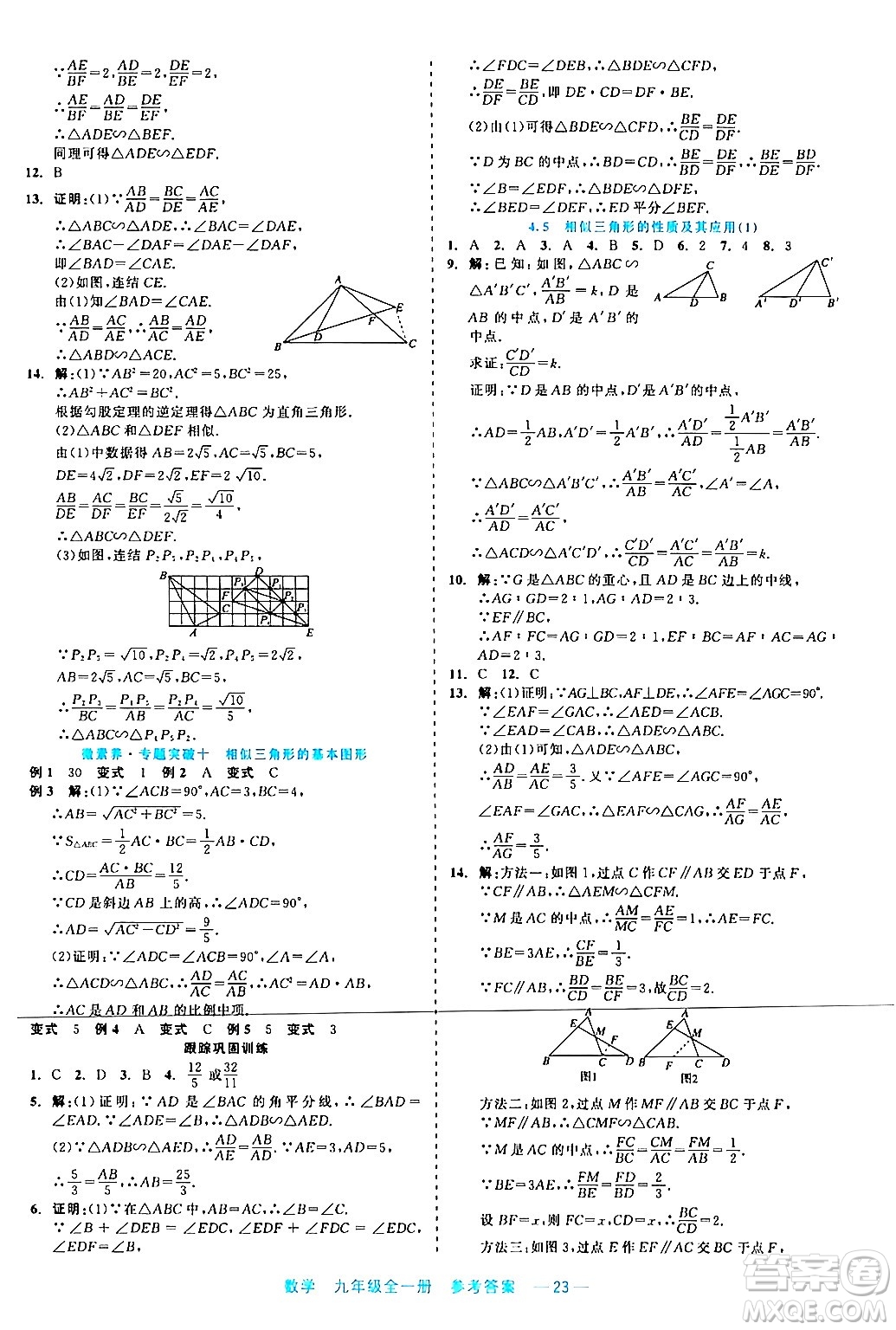 浙江工商大學(xué)出版社2024年春精彩練習(xí)就練這一本九年級(jí)數(shù)學(xué)下冊(cè)通用版答案