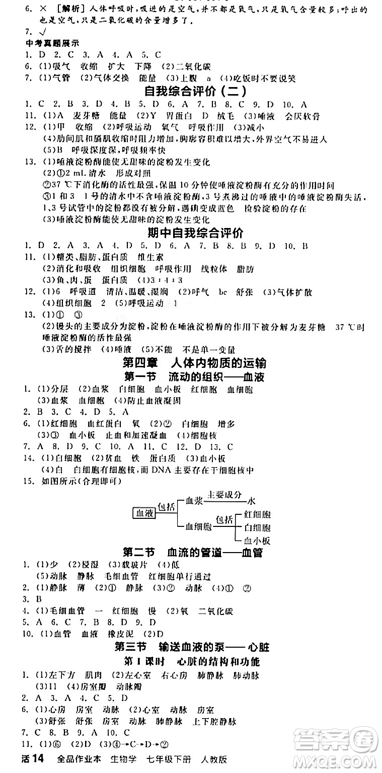 陽(yáng)光出版社2024年春全品作業(yè)本七年級(jí)生物下冊(cè)人教版內(nèi)蒙古專版答案