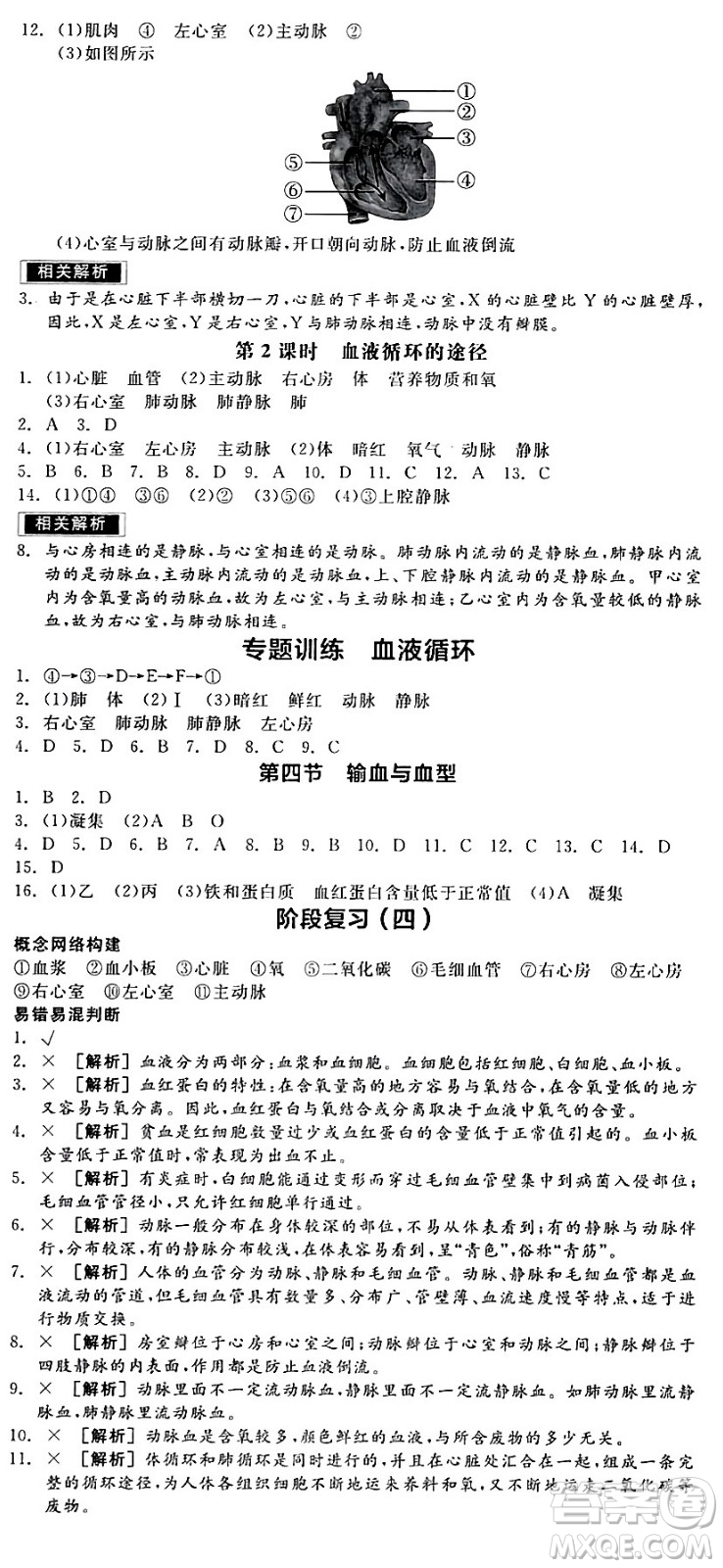 陽(yáng)光出版社2024年春全品作業(yè)本七年級(jí)生物下冊(cè)人教版內(nèi)蒙古專版答案