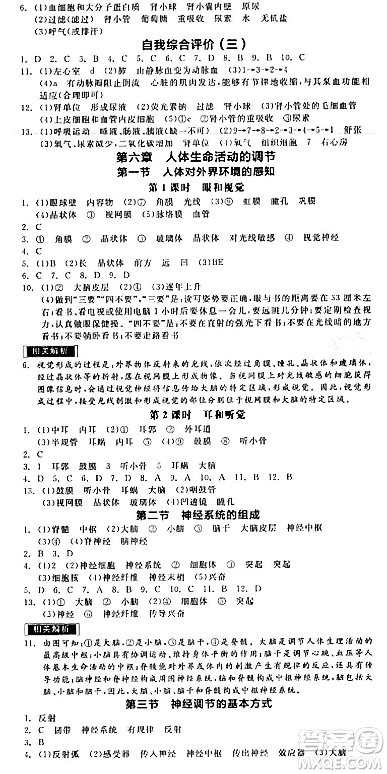 陽(yáng)光出版社2024年春全品作業(yè)本七年級(jí)生物下冊(cè)人教版內(nèi)蒙古專版答案