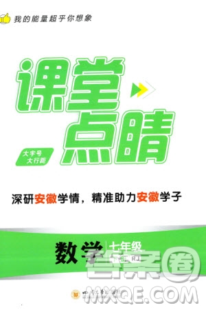 四川大學出版社2024年春課堂點睛七年級數(shù)學下冊人教版安徽專版參考答案