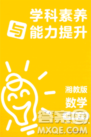 湖南教育出版社2024年春學科素養(yǎng)與能力提升七年級數(shù)學下冊湘教版答案