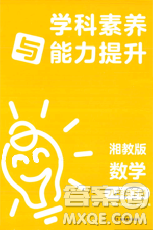 湖南教育出版社2024年春學(xué)科素養(yǎng)與能力提升八年級(jí)數(shù)學(xué)下冊(cè)湘教版答案