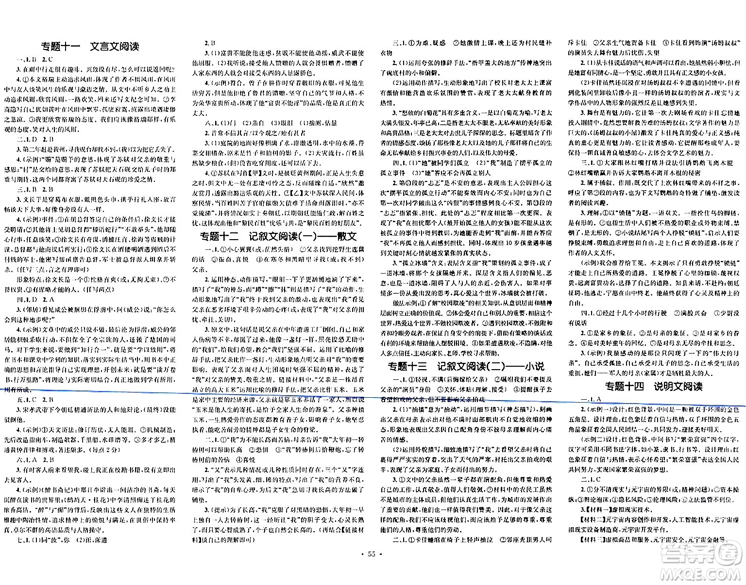 湖南教育出版社2024年春學(xué)科素養(yǎng)與能力提升九年級(jí)語(yǔ)文下冊(cè)人教版答案