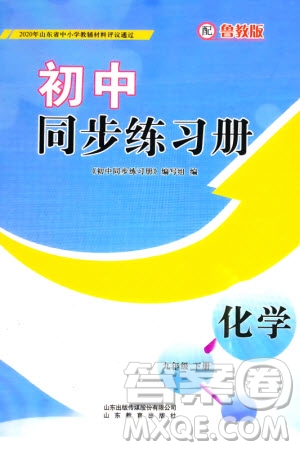 山東教育出版社2024年春初中同步練習(xí)冊(cè)九年級(jí)化學(xué)下冊(cè)魯教版參考答案