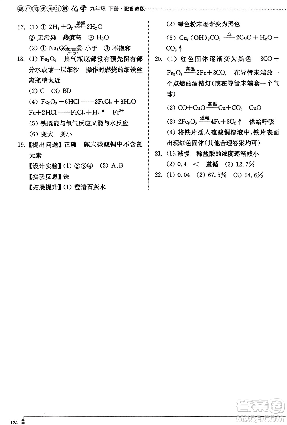 山東教育出版社2024年春初中同步練習(xí)冊(cè)九年級(jí)化學(xué)下冊(cè)魯教版參考答案