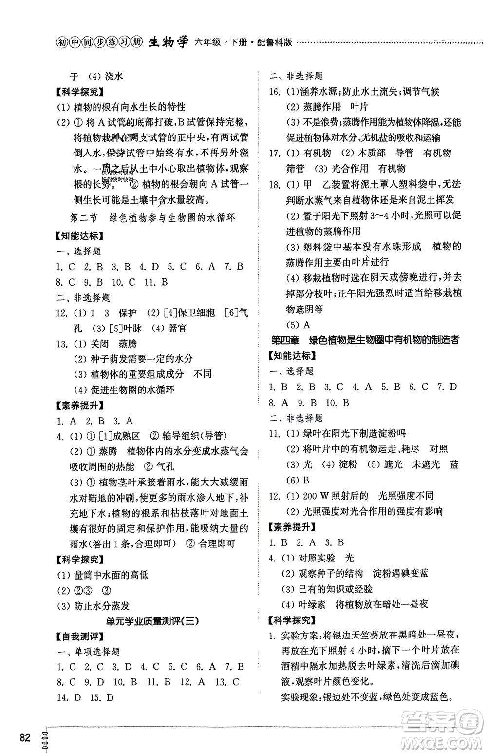 山東教育出版社2024年春初中同步練習冊六年級生物下冊五四制魯科版參考答案