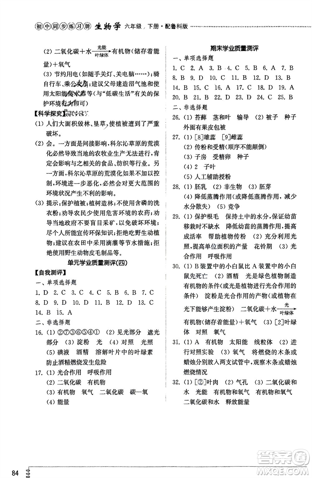 山東教育出版社2024年春初中同步練習冊六年級生物下冊五四制魯科版參考答案