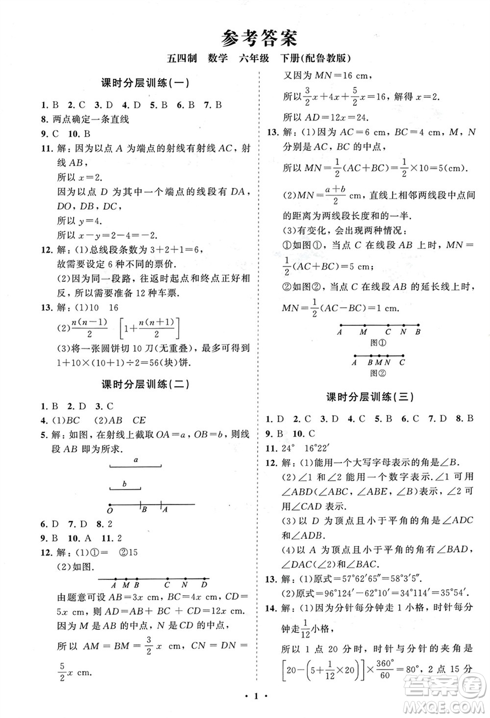 山東教育出版社2024年春初中同步練習(xí)冊(cè)分層卷六年級(jí)數(shù)學(xué)下冊(cè)五四制魯教版參考答案