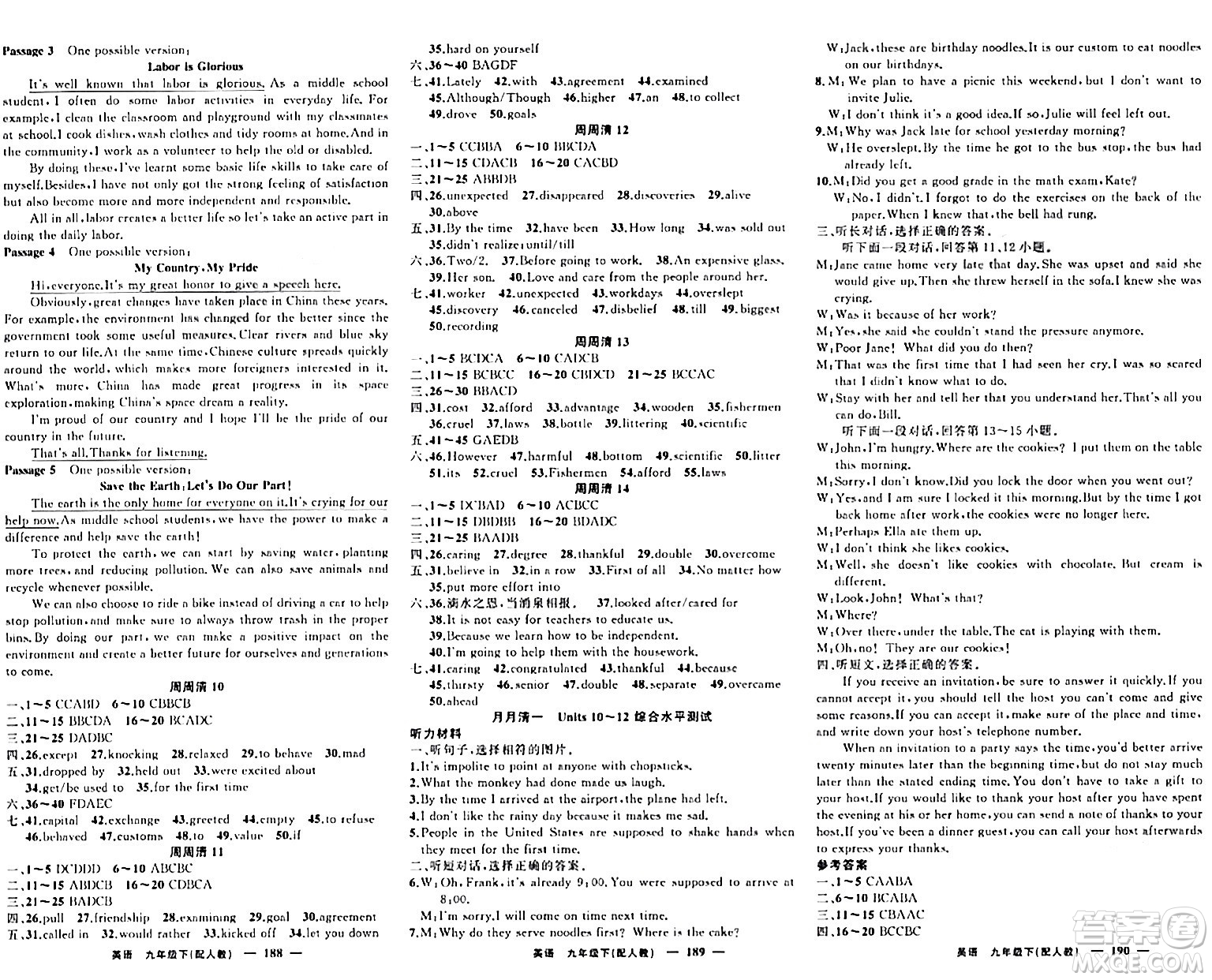 新疆青少年出版社2024年春四清導(dǎo)航九年級(jí)英語(yǔ)下冊(cè)人教版答案