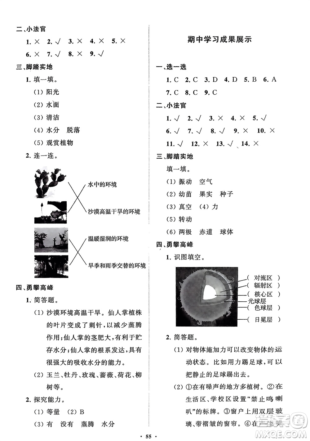 山東教育出版社2024年春小學同步練習冊分層指導四年級科學下冊通用版參考答案