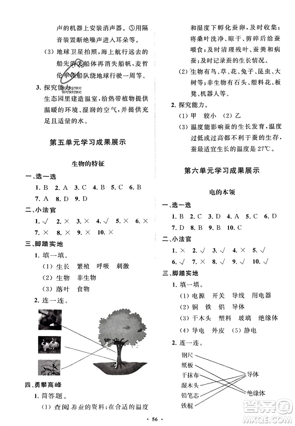 山東教育出版社2024年春小學同步練習冊分層指導四年級科學下冊通用版參考答案