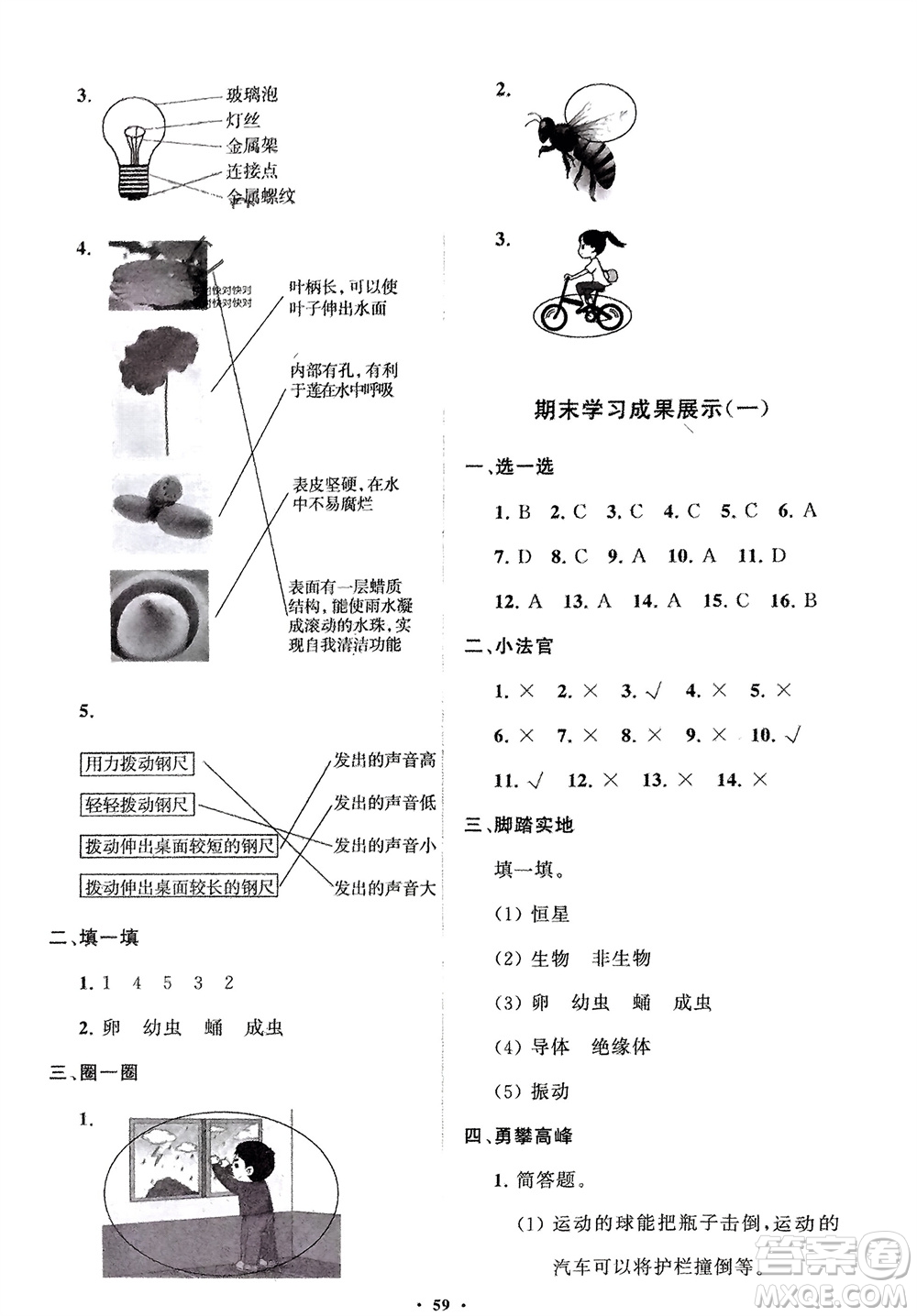 山東教育出版社2024年春小學同步練習冊分層指導四年級科學下冊通用版參考答案