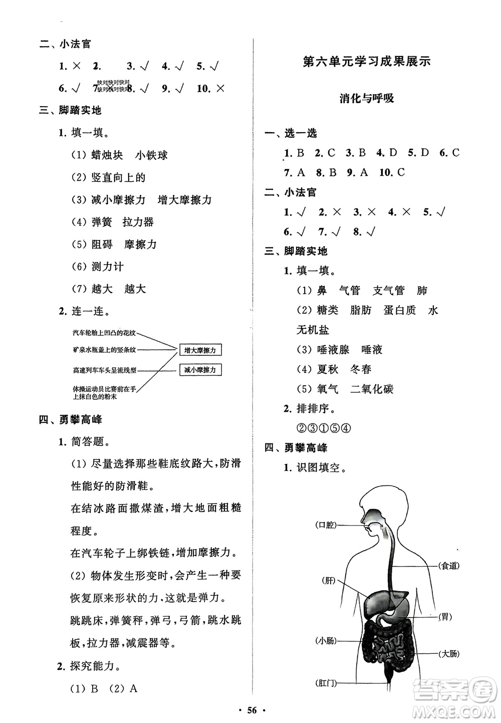 山東教育出版社2024年春小學(xué)同步練習(xí)冊(cè)分層指導(dǎo)三年級(jí)科學(xué)下冊(cè)通用版參考答案