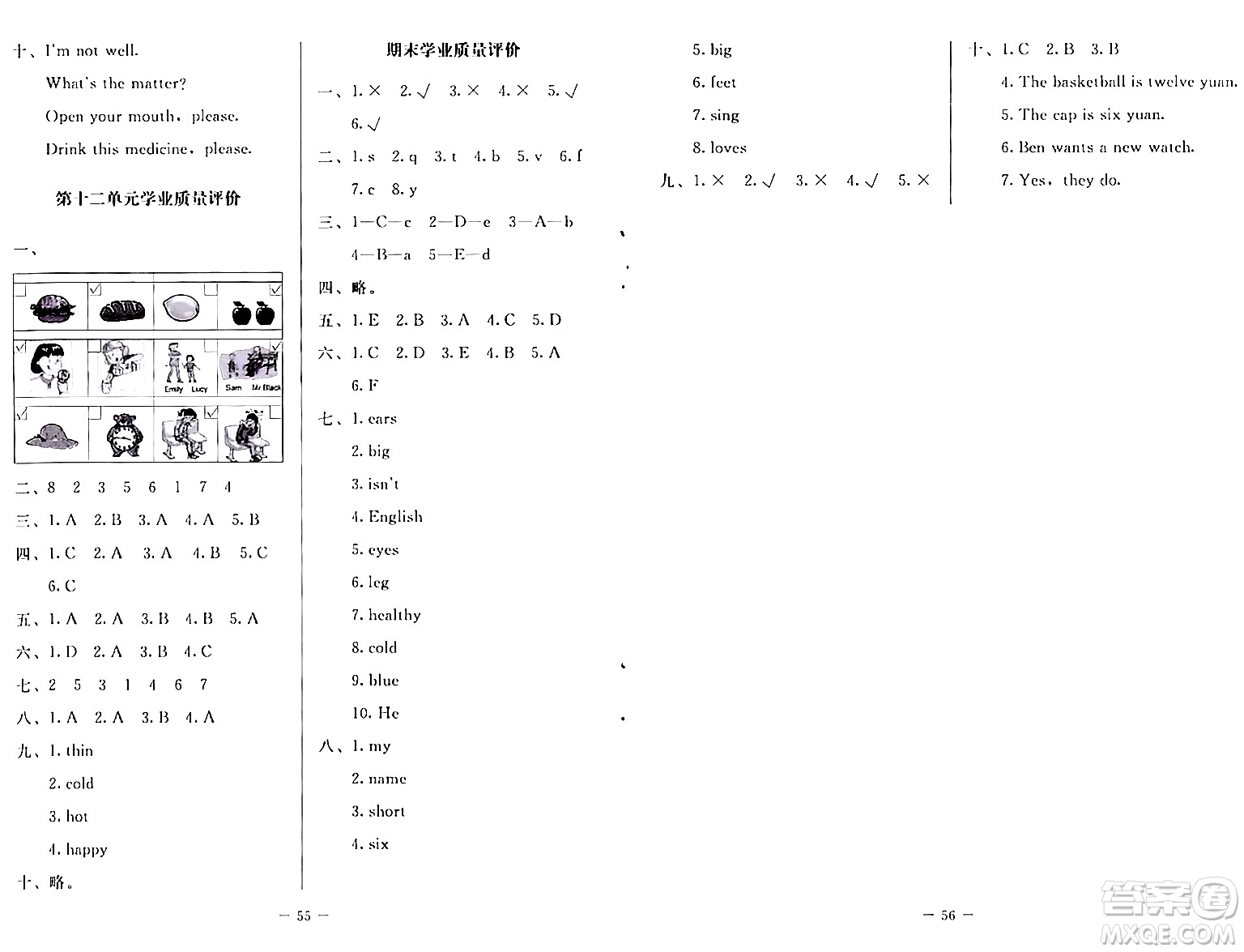 北京師范大學(xué)出版社2024年春課堂精練四年級英語下冊北師大版三起點(diǎn)答案