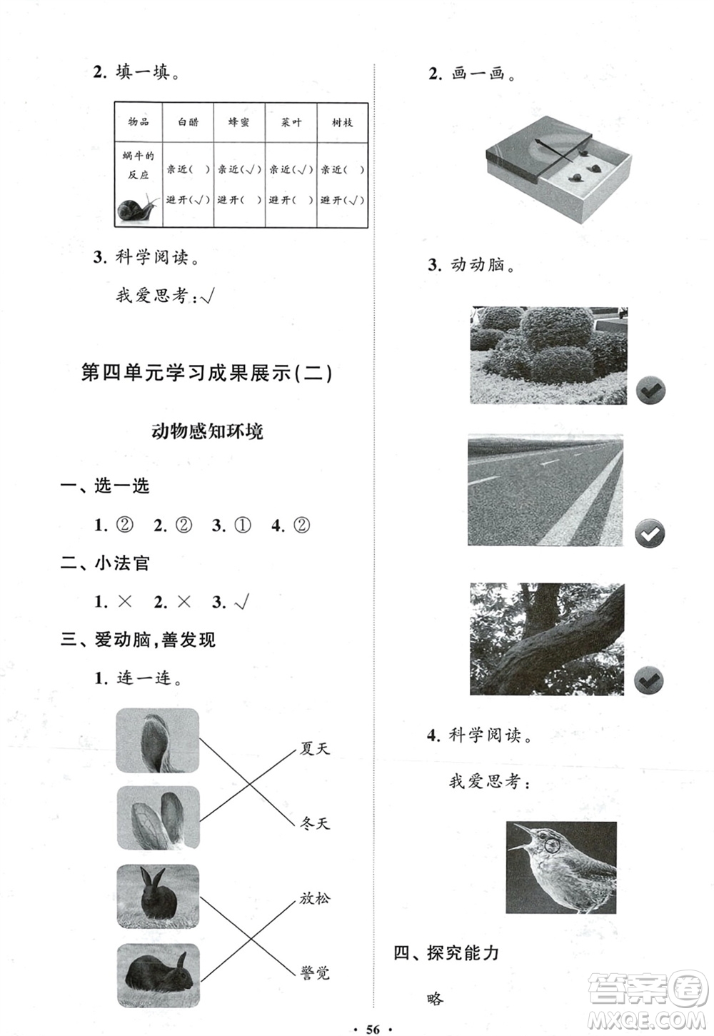 山東教育出版社2024年春小學(xué)同步練習(xí)冊(cè)分層指導(dǎo)二年級(jí)科學(xué)下冊(cè)五四制通用版參考答案