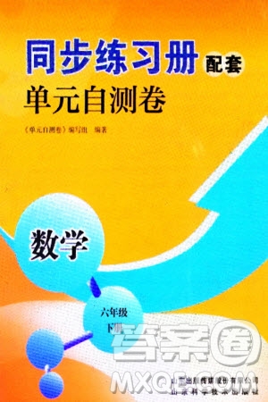 山東科學(xué)技術(shù)出版社2024年春同步練習(xí)冊配套單元自測卷六年級數(shù)學(xué)下冊通用版參考答案
