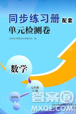 山東科學(xué)技術(shù)出版社2024年春同步練習(xí)冊配套單元檢測卷七年級數(shù)學(xué)下冊通用版參考答案