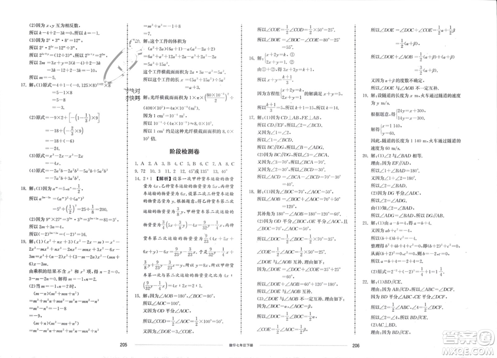 山東科學(xué)技術(shù)出版社2024年春同步練習(xí)冊配套單元檢測卷七年級數(shù)學(xué)下冊通用版參考答案